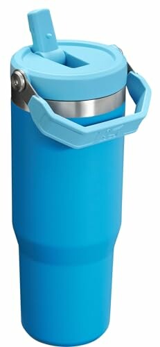 Blue insulated travel mug with handle and spout