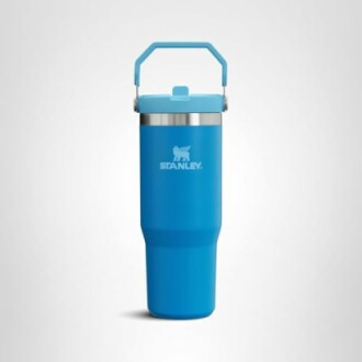 Stanley IceFlow Flip Straw Tumbler
