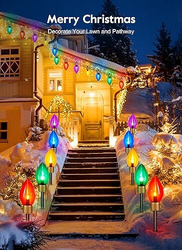 House decorated with colorful Christmas lights on pathway and roof.