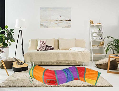 Cat Tunnel for Indoor Cats