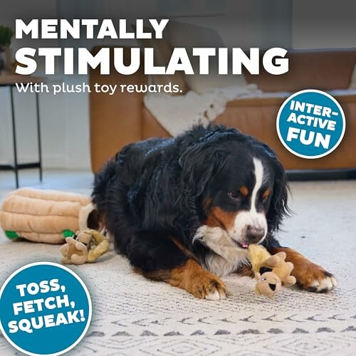 Dog playing with plush toy on a carpet