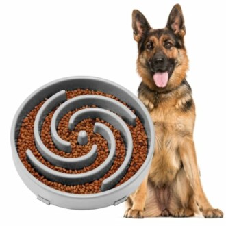 German Shepherd next to a slow feeder bowl filled with kibble.