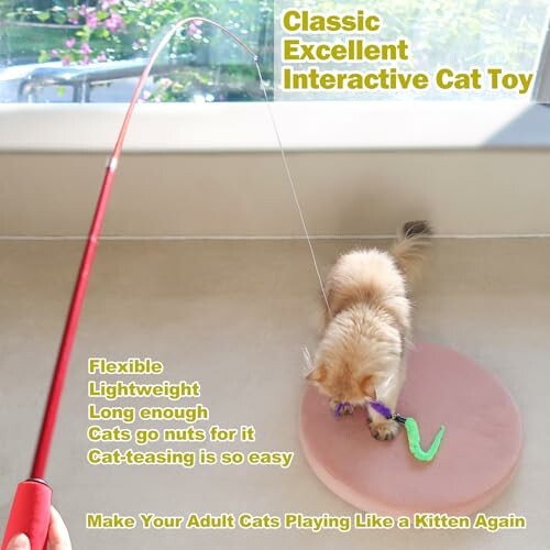 Cat playing with an interactive toy on a round platform.