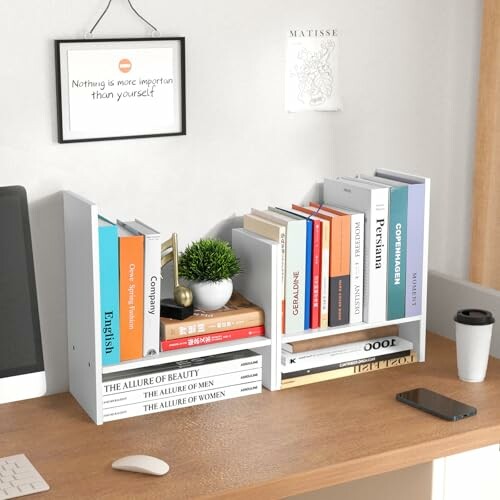 Desk with organized bookshelf, books, plant, and coffee cup.