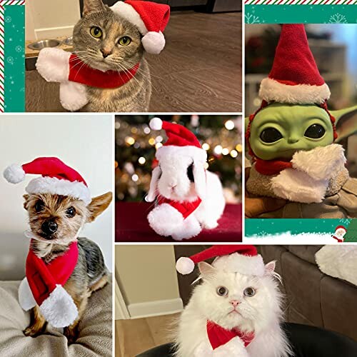 Pets in Santa hats including a cat, dog, bunny, and toy figure.