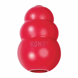 Red KONG dog toy for chewing and play, perfect for engaging dogs in fun activities.