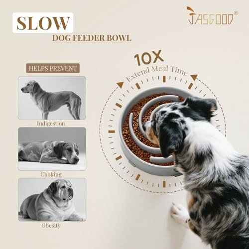 Dog using slow feeder bowl to prevent indigestion, choking, and obesity.