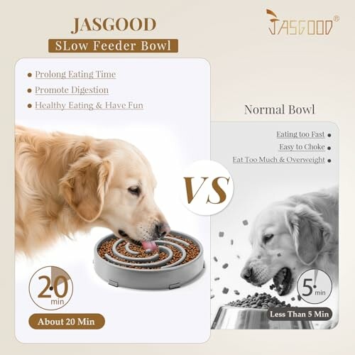 JASGOOD Slow Feeder Dog Bowl