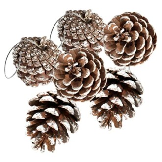Snow-dusted pine cones with strings for decoration.