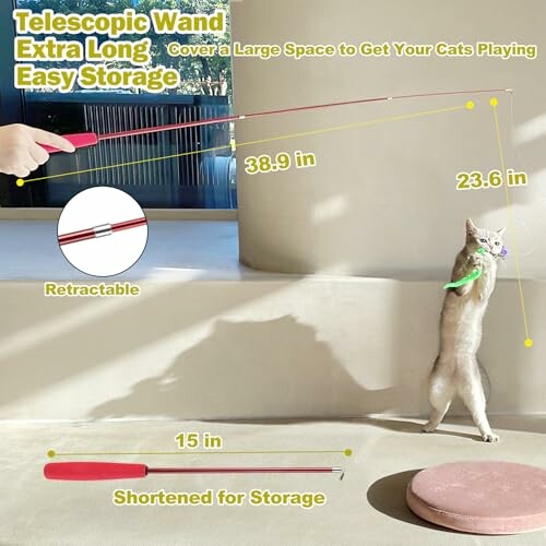 Cat playing with a telescopic wand toy, showing retractable feature and dimensions.