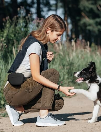 Woman training a dog outdoors on a sunny day.